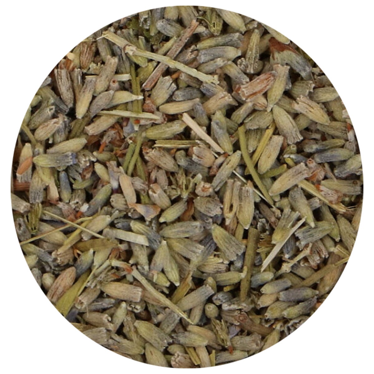 FunCakes Fleurs Séchées Comestibles Lavande 10g