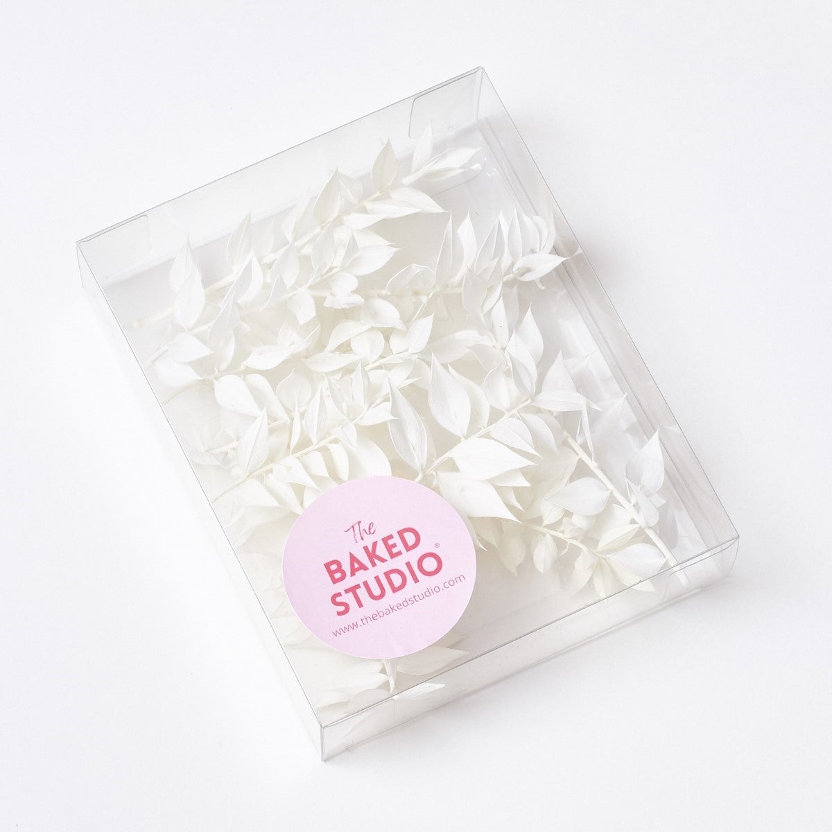 The Baked Studio Dried Flower Box - Ruscus - Blanc
