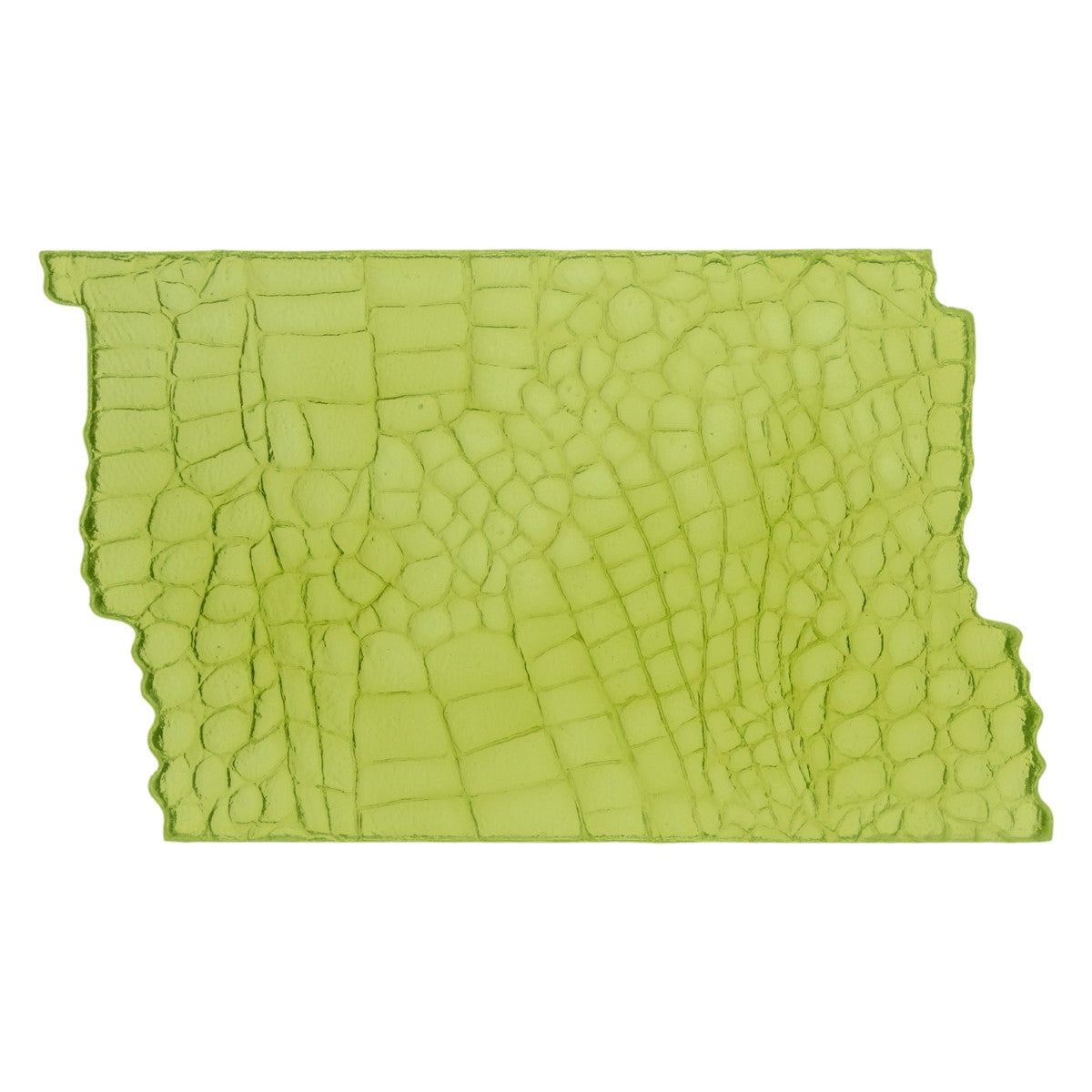 Marvelous Molds Moule en Silicone - Alligator