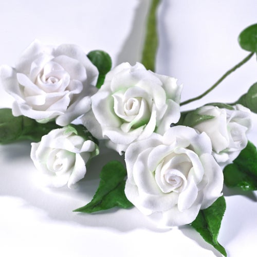 Renshaw Flower & Modelling Paste -White- 250g