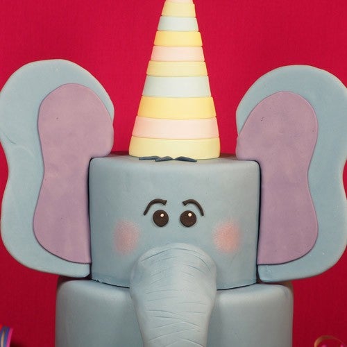 Verjaardag olifant