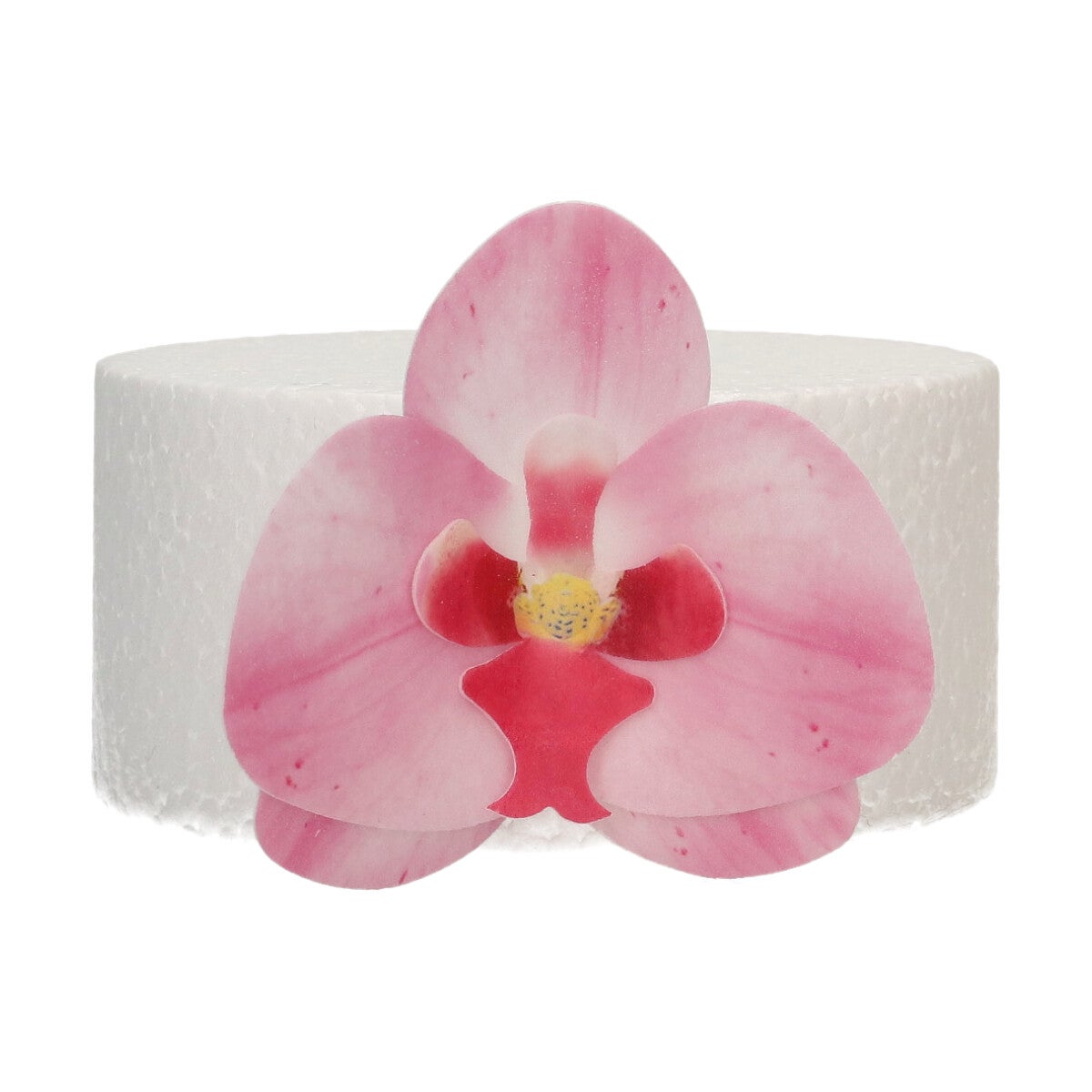 FunCakes Fleurs Comestibles en Azyme Deluxe Orchidée Rose Medium pk/10