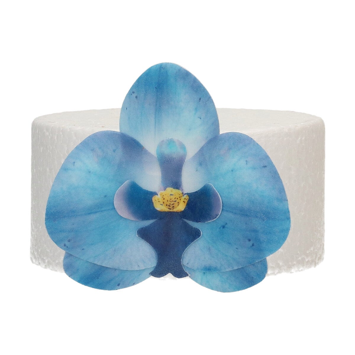 FunCakes Fleurs Comestibles en Azyme Deluxe Orchidée Bleue Medium pk/10