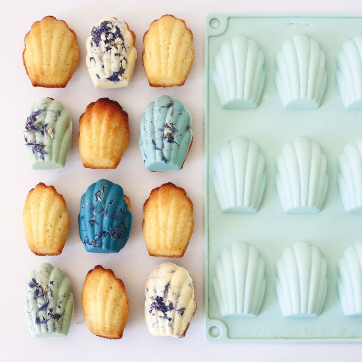 ScrapCooking Moule Silicone Madeleines