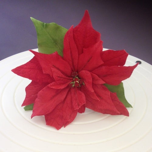 FMM Poinsettia Cutter ensemble/7