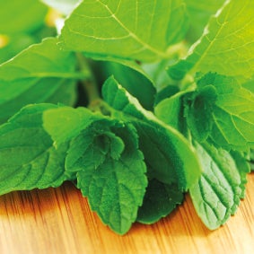 FunCakes Pâte Aromatisante Green Mint 100 g