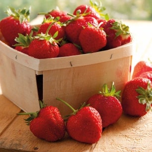 FunCakes Pâte Aromatisante Fraise Acidulée 120 g