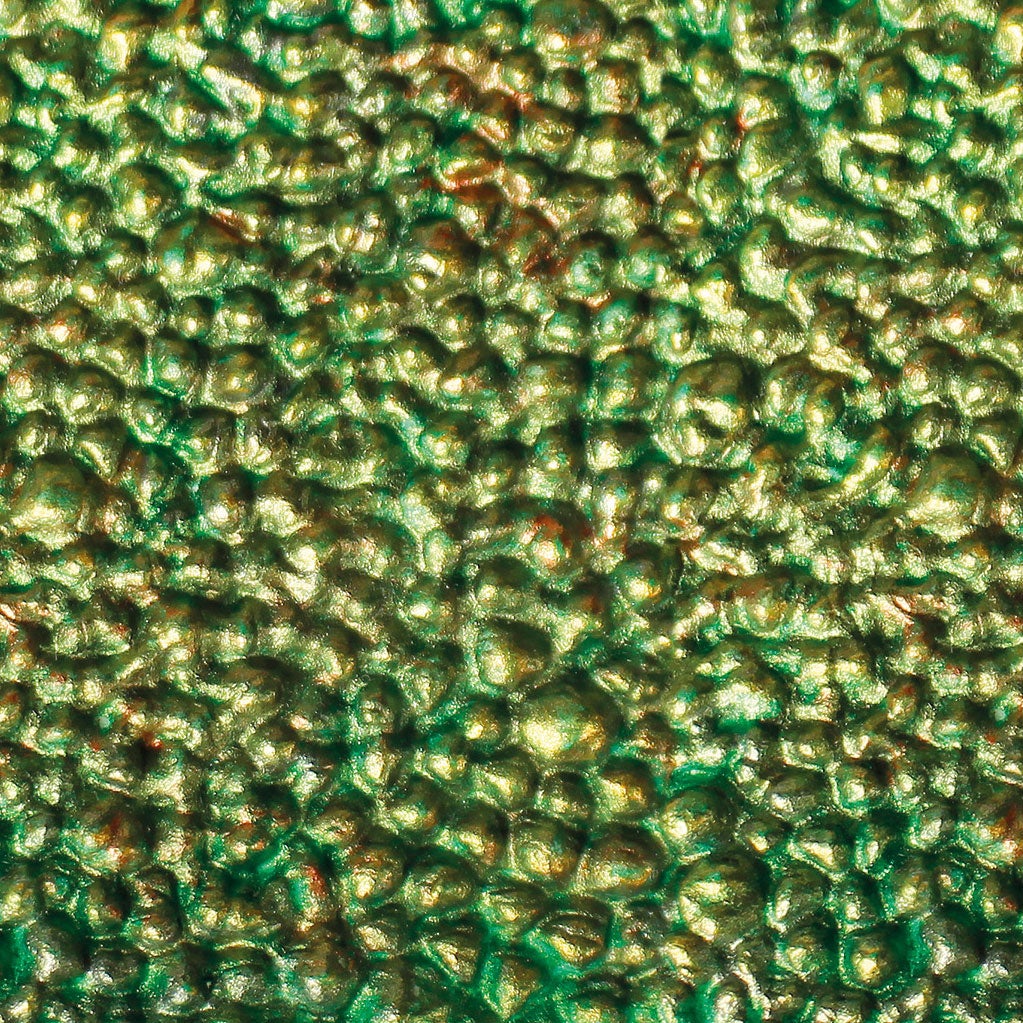 Katy Sue Moule - Peau de dragon