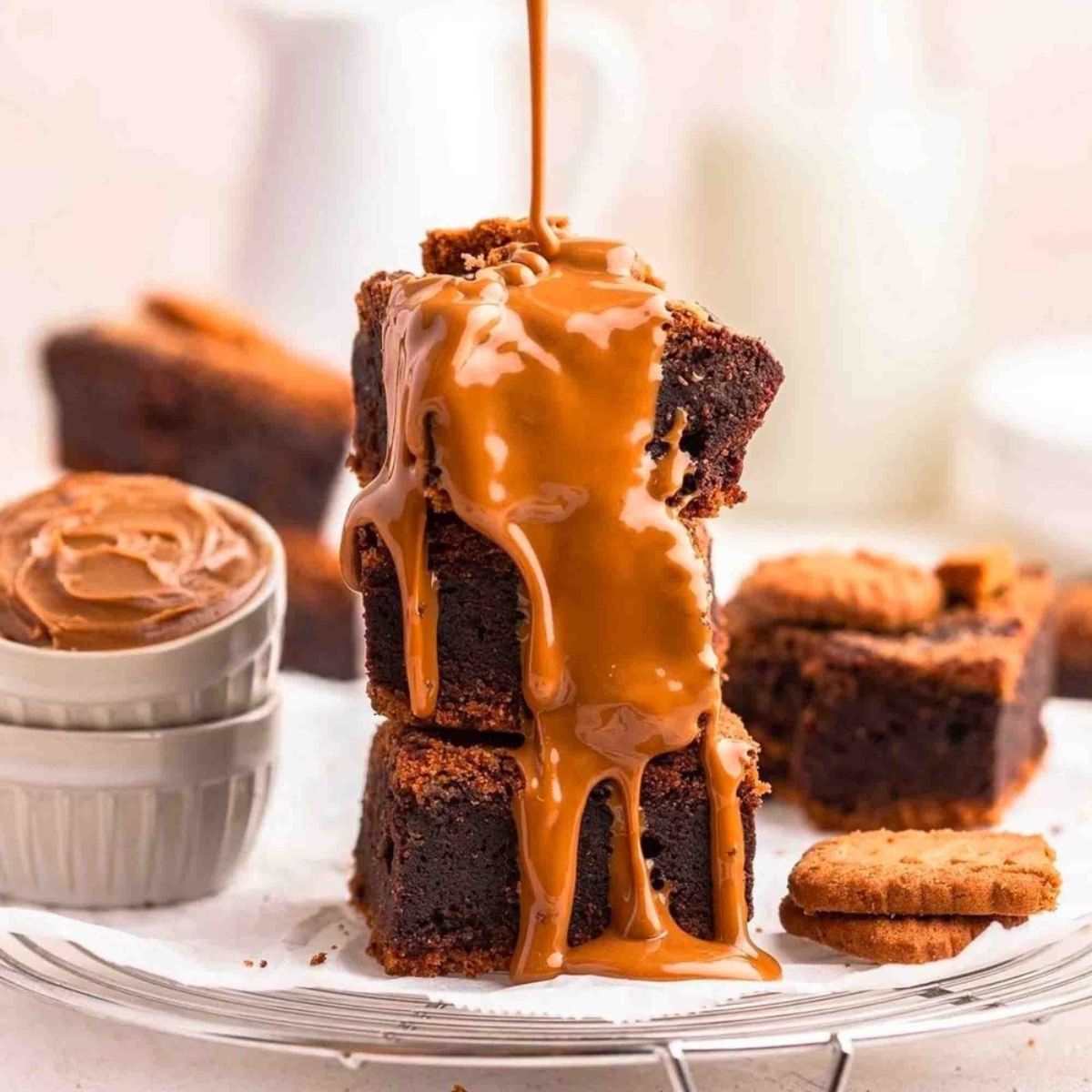 Lotus Biscoff Garniture pour spéculoos 1L