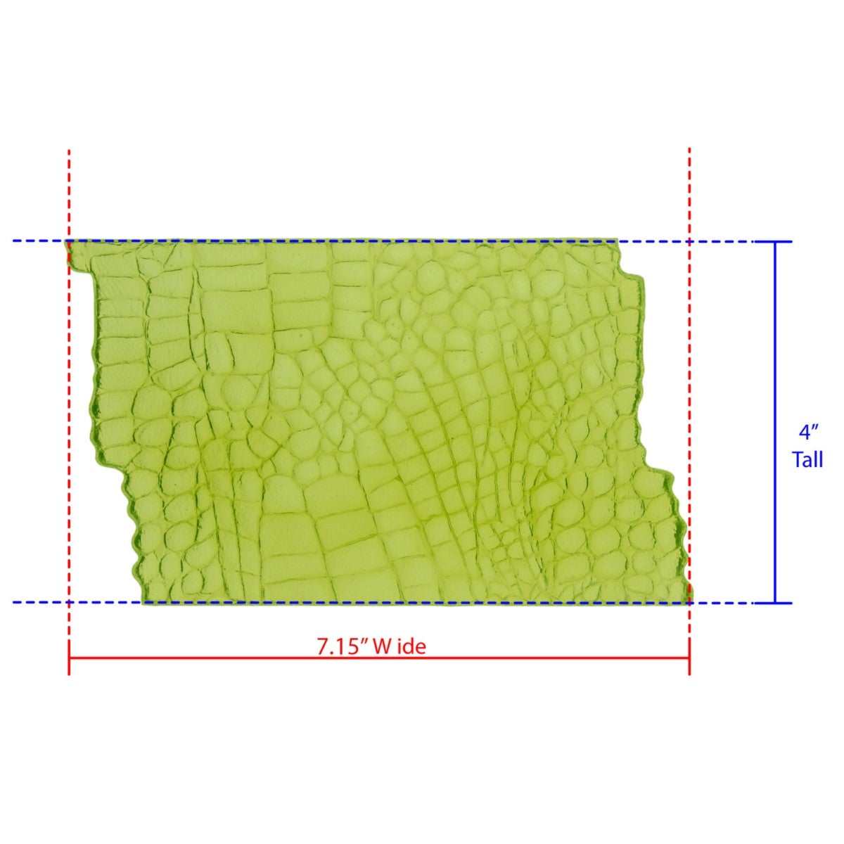 Marvelous Molds Moule en Silicone - Alligator