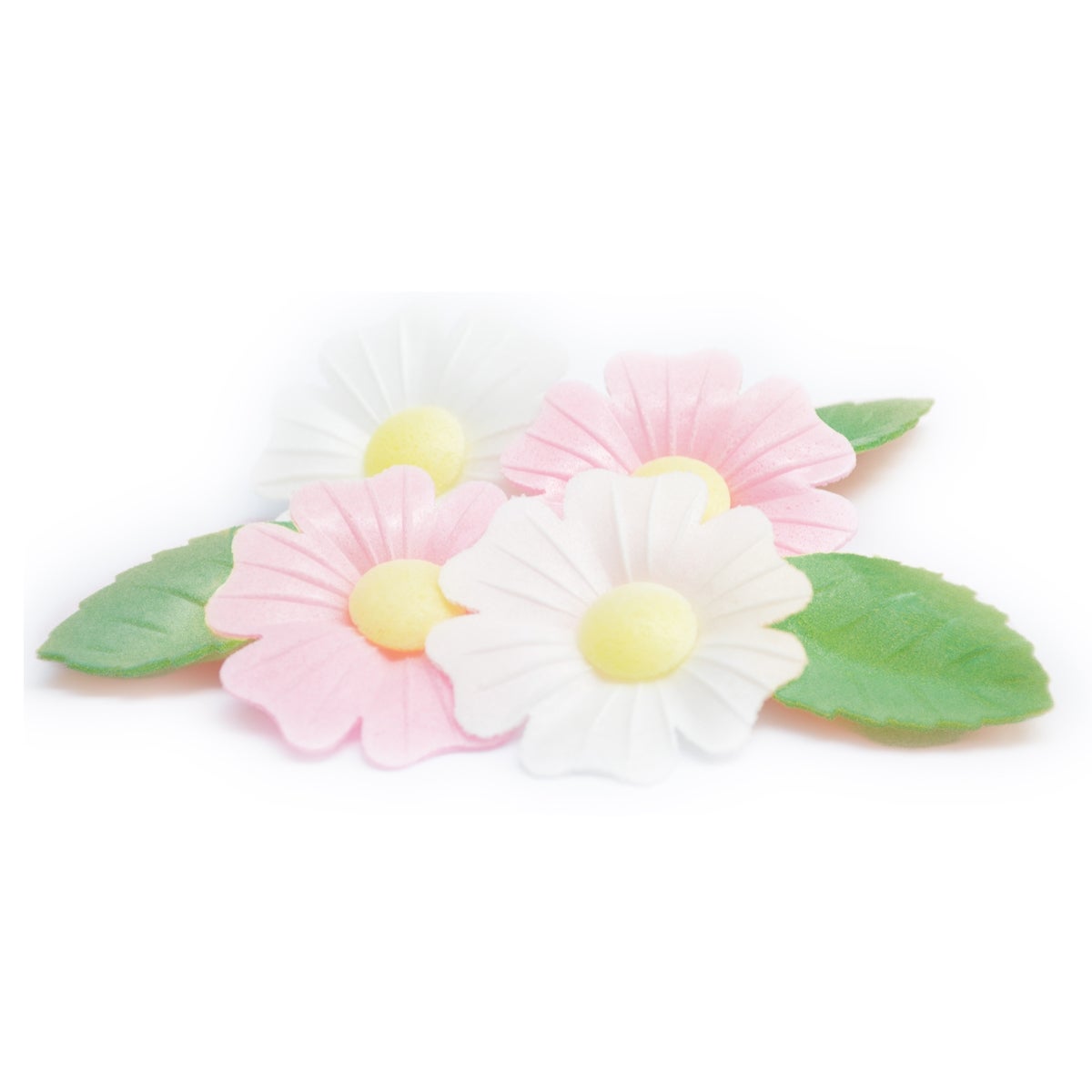 Scrapcooking Décorations Gaufrées Wild Rose & Leaf Set/12